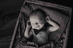 newborn photographers