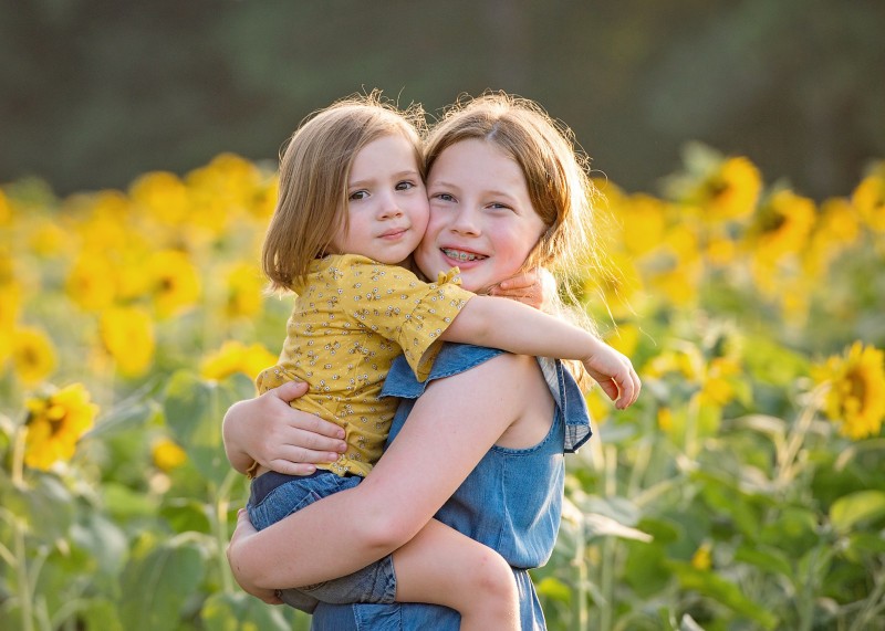 Sunflower Field Photography