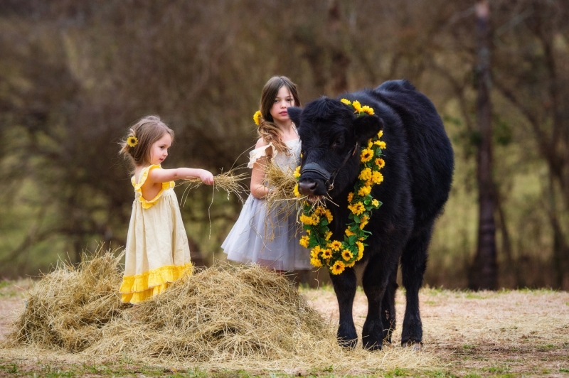 Daisy-And-Friends-0070e