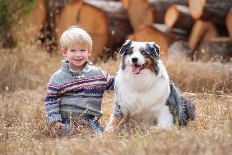 Holland-Tree-Farm-22-7678e