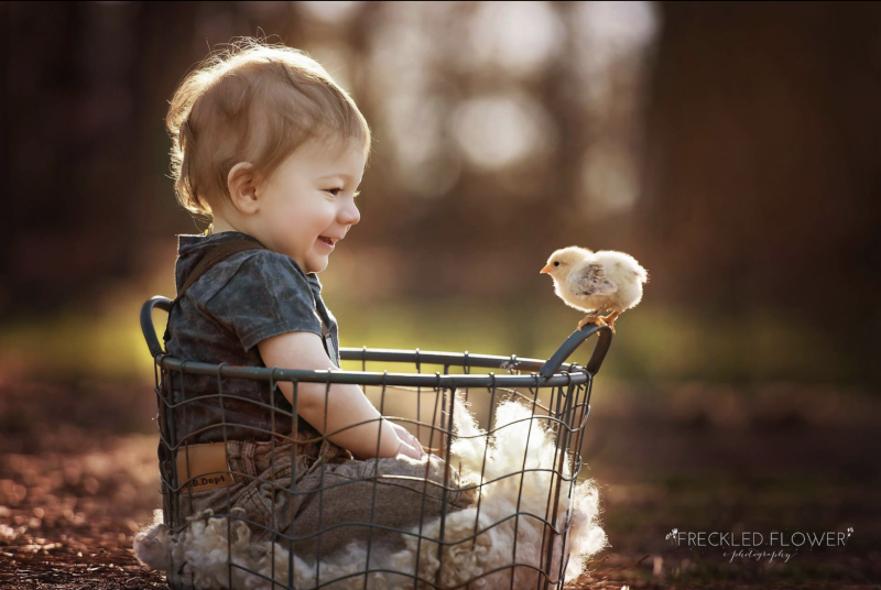 Screen-Shot-2023-03-05-at-9.38.03-AM