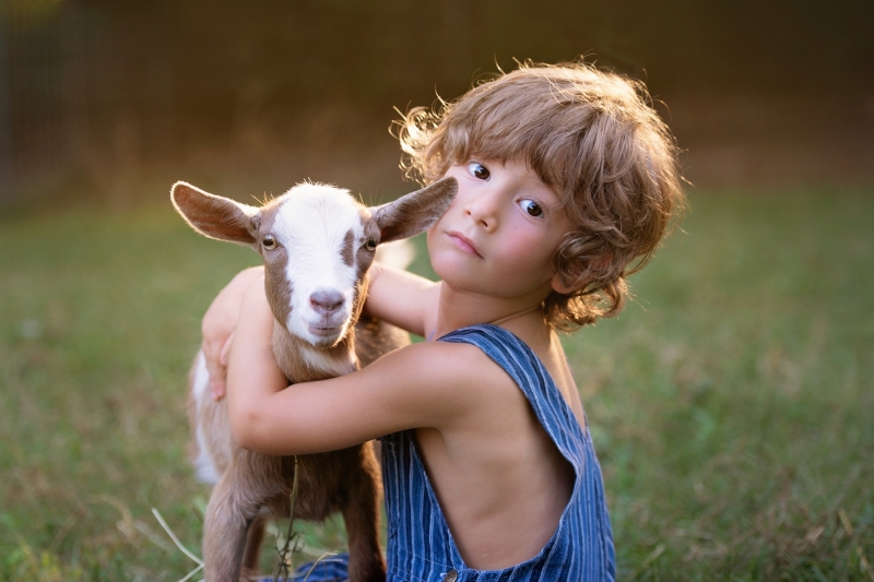 boygoat-9011-copyedit