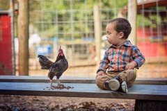 Boy-With-Rooster-Picture