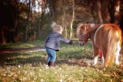 canton_child_photographer_pony