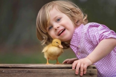 duckling-snuggles-animal-photography
