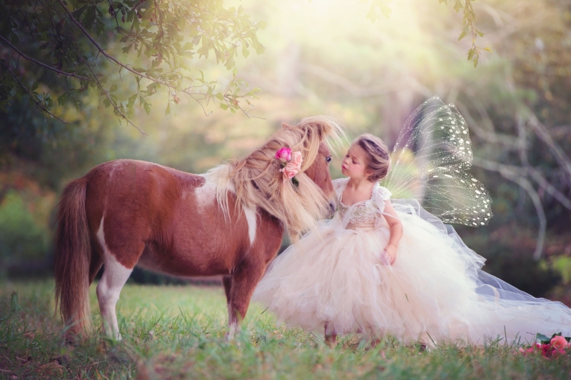 Fairy-In-The-Forrest