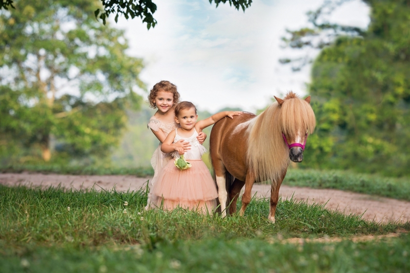 Wilson-Pony-2019-6662-18efinal3
