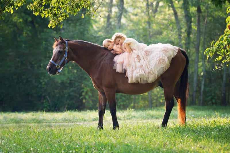 Wilson-Pony-2019-6832-75efinal