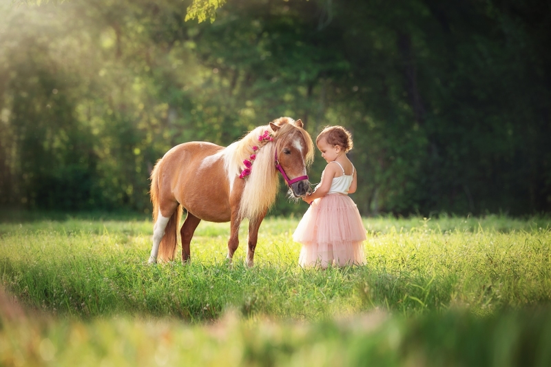 Wilson-Pony-2019-6939-124efinal3