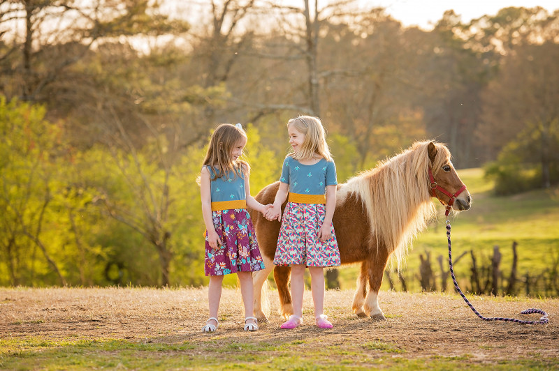 Farm-Photographer-Canton-Roswell-GA-ponies