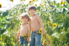 boys-sunflowers-alpharetta-photographer