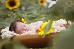 newborn-sunflower-farm-alpharetta-2