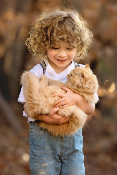 Kitten-Snuggles-Pet-Photographer