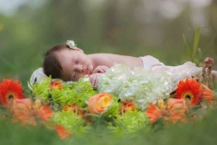 newborn photographer flowers milton-sleepy