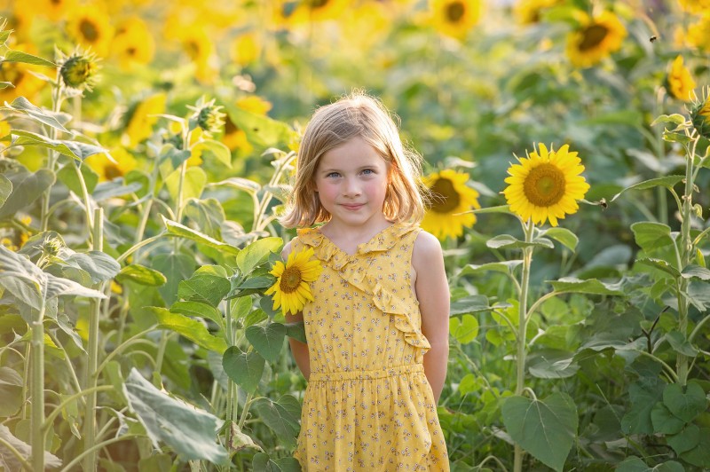 Sunflower Field Photography