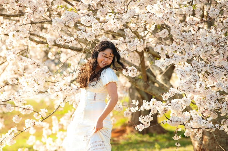 Senior Girl Cherry Blossoms