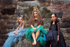 Leopard-Peacock-Wolf-Jungle-Book-Theme-Photography-1