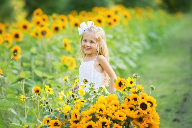 sunflower-portraits-2020-4581e1