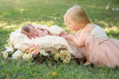 newborn photos toddler photography roswell