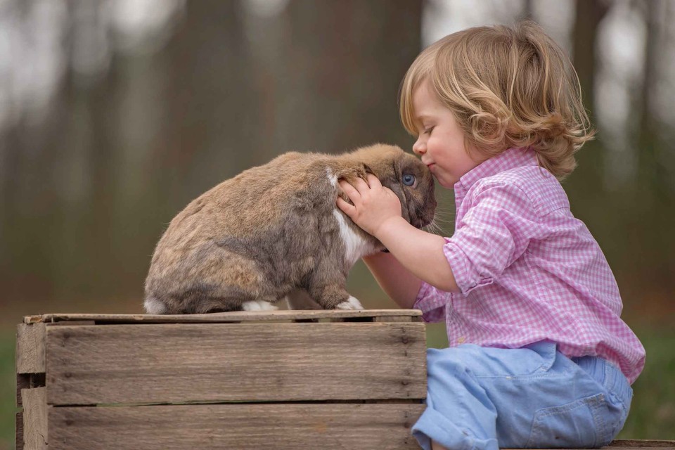 bunny-kisses-farm-photographer