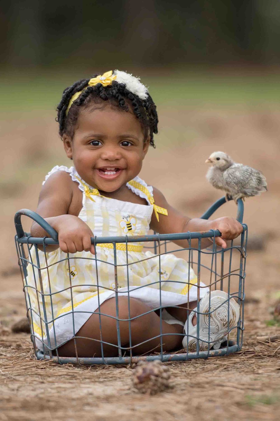 little-girl-with-chick-canton-farm-photography