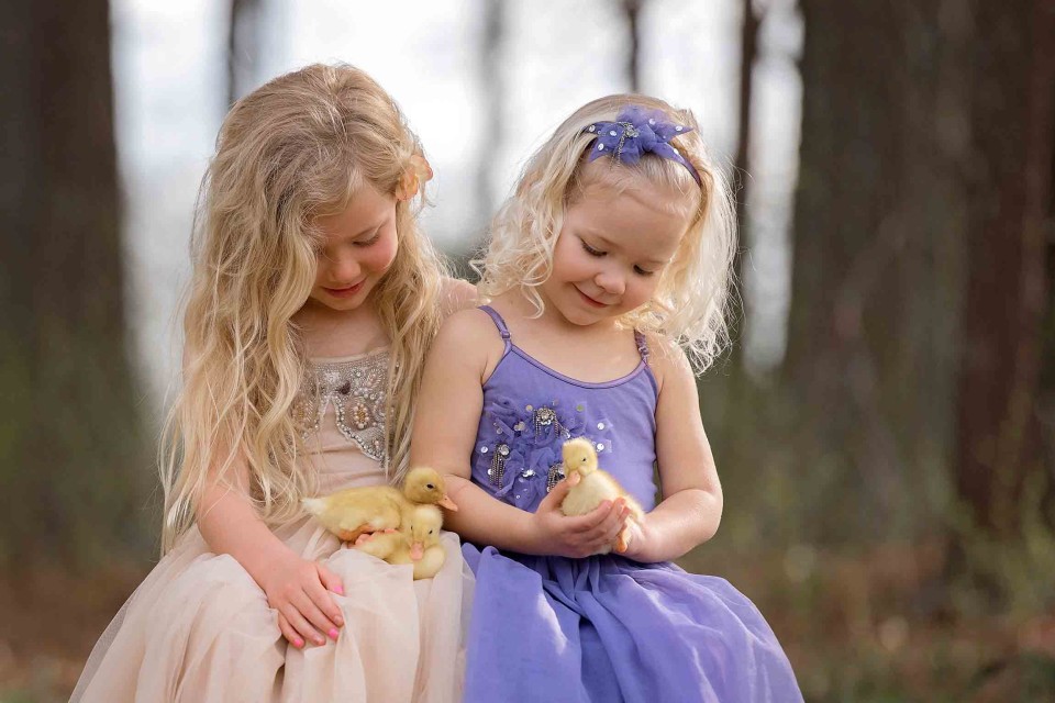 sisters-with-ducklings-photographer