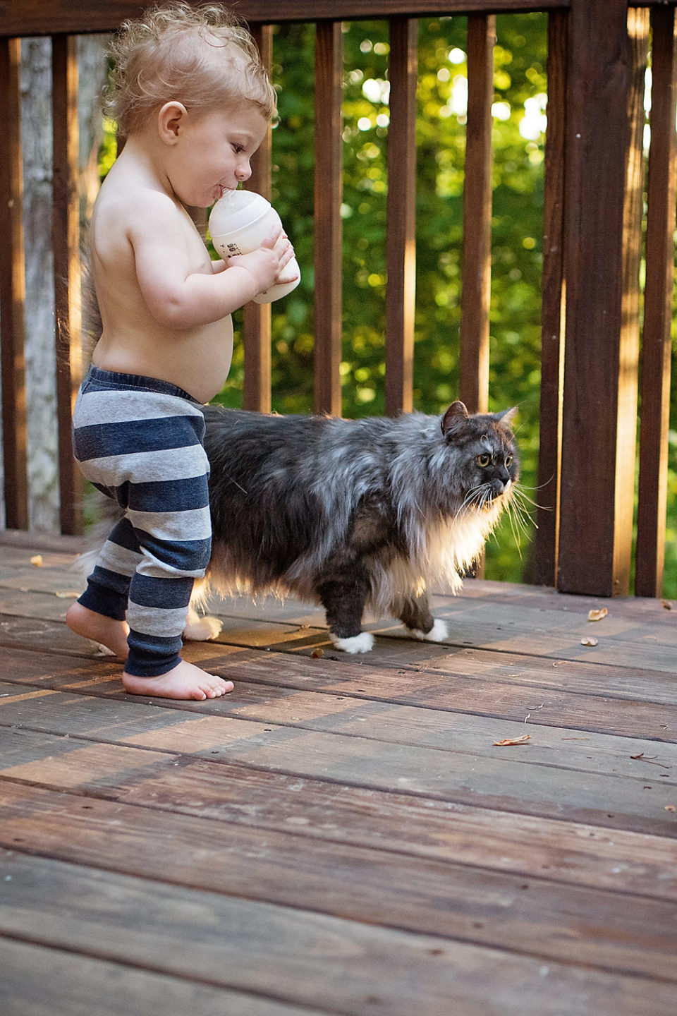 Baby-and-cat-photography