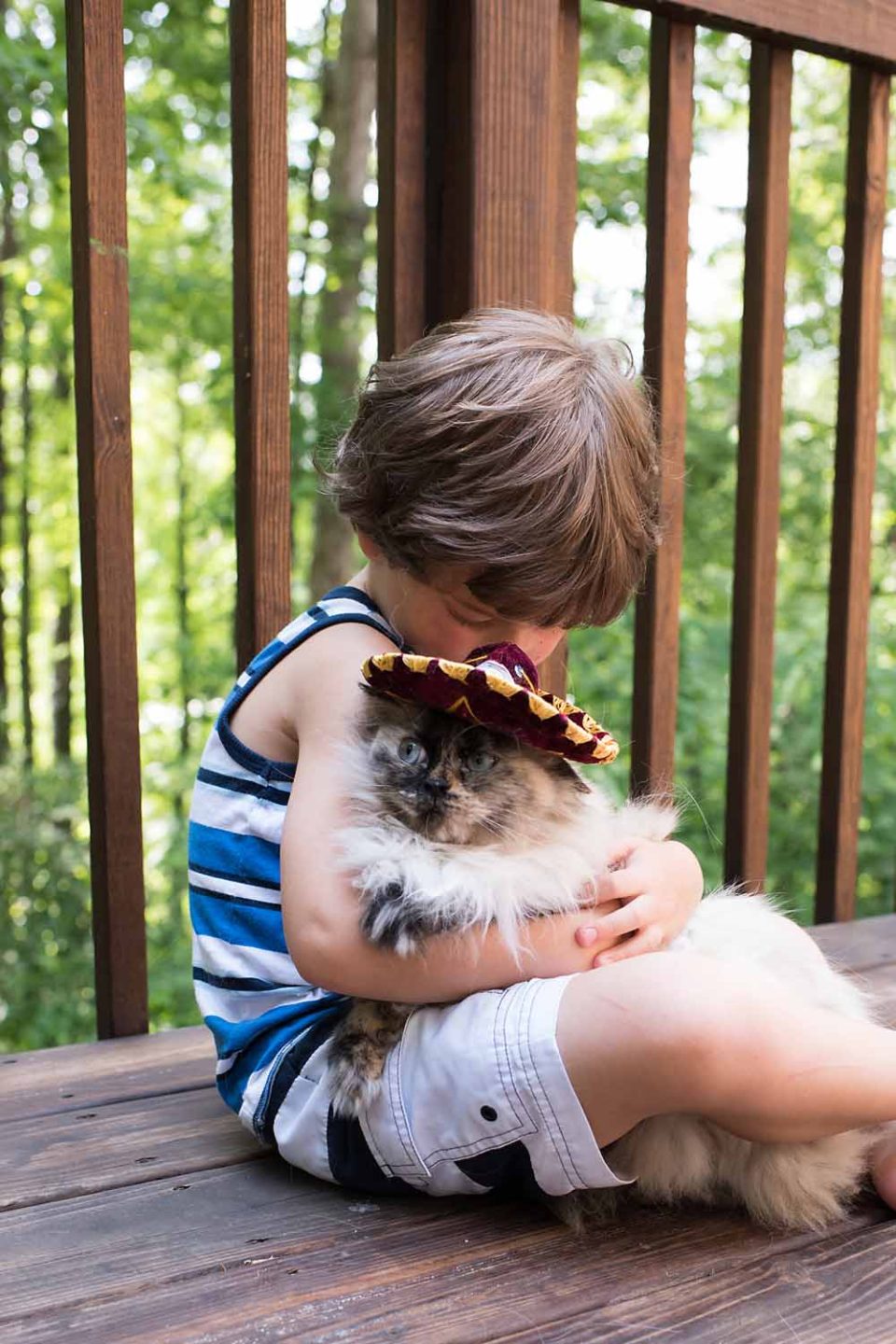 Boy-Cat-Sombrero-Photography