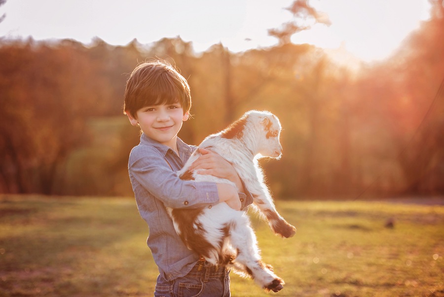 Professional child photography with animals