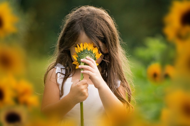 sunflower-portraits-2020-4842e2.jpg