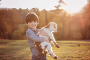 THE ART OF PROFESSIONAL CHILD PHOTOGRAPHY WITH ANIMALS